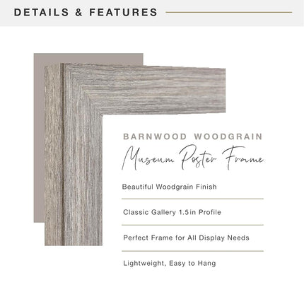 MCS Museum Poster Frame 18x24 Barnwood, Vertical & Horizontal Wall Hanging Large Picture Frame for Photos, Posters & Art Prints (1-Pack)