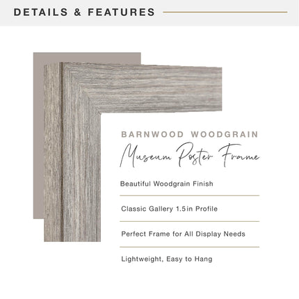MCS Museum Poster Frame 18x24 Barnwood, Vertical & Horizontal Wall Hanging Large Picture Frame for Photos, Posters & Art Prints (1-Pack)