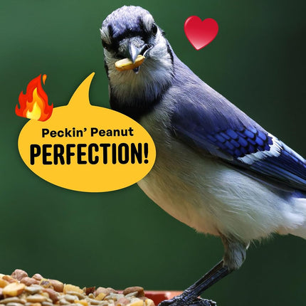 Cool Birds No Mess Sad Squirrels Hot Bird Seed – 10 lb. Spicy Shell-Free Blend with Peanuts, Sunflower Hearts & Chili Pepper Oil – No Waste, Squirrel-Resistant Bird Food for Outside Feeders