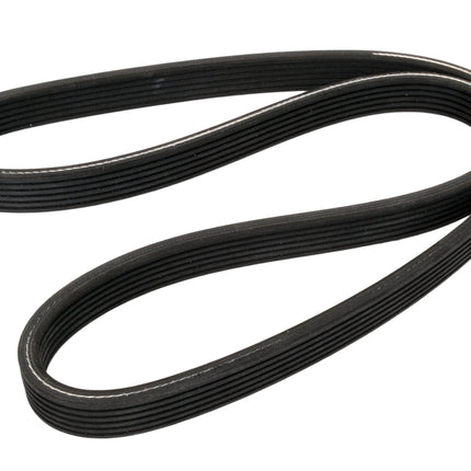 Continental D4060472 Dual-Sided Poly-V/Serpentine 