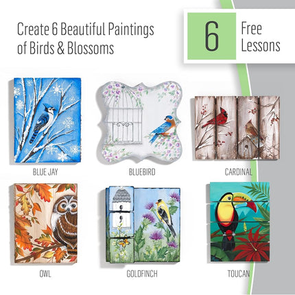 FolkArt Birds & Blossoms 2 oz One Stroke Acrylic Kit, 32 Piece Set Including 12 Multi-Surface Paints, 10 Brushes, 6 Teaching Guides, 3 Pattern Sheets & 1 2 fl oz Floating Medium