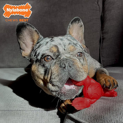 Nylabone Power Chew Dog Toy - Lobster & Filet Mignon - Aggressive Chewers - Small/Regular (1 Count)