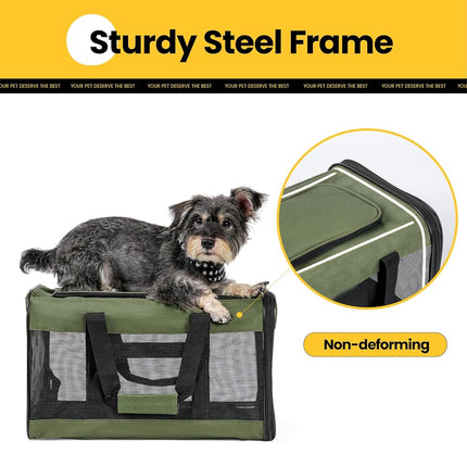 Conlun Dog Carrier Soft Sided, Large Cat Carrier with Inner Safety Leash, Pet Transport Carrier for Large Cats and Medium Dogs up to 20 Lbs, Collapsible Travel Puppy Carrier Bag -Green L