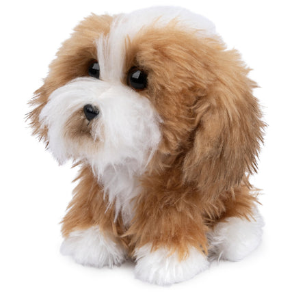 GUND Boo, el perro más lindo del mundo, colección Boo & Friends Cachorro de terrier tibetano, peluche para niños de 1 año en adelante, 12.7 cm
