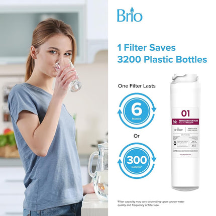 Remplacement du filtre à eau Brio MSWF. Compatible avec GE MSWF, 101820A, 101821B, MSWF3PK et MSWFDS, NSF 42, 53, 372 et 401