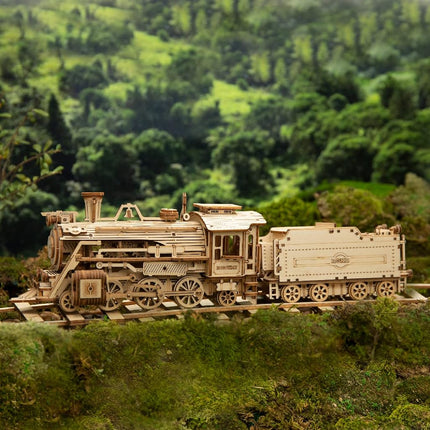 3D Wooden Puzzles for Adults Mechanical Models Kits to Build Unique Birthday/Christmas Day (Prime Steam Express)