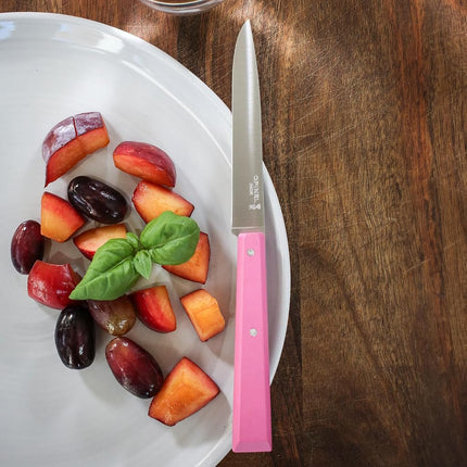 Opinel Bon Appetit Pop Box of 4 Table Knife No125 S/S - 11cm (Tangerine/Apple Green/Fuchsia/Purple)