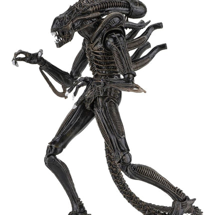 NECA - Alien- 7" Scale Action Figures - Ultimate W