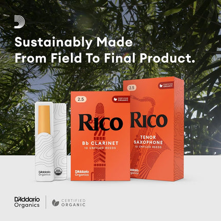 Rico 3.0 Strength Reeds for Bb Clarinet (Pack of 10)