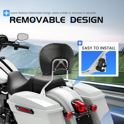 ECOTRIC Detachable Backrest Quick Release 2-up Compatible with 09-24 Harley