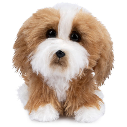 GUND Boo, The World’s Cutest Dog, Boo & Friends Co