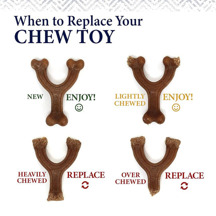 Nylabone Gourmet Style Strong Chew Wishbone Dog Toy Chicken Small/Regular (1 Count)