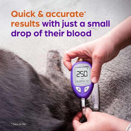 AlphaTrak 3 Test Strips for Use with AT3 Blood Glucose Monitoring System for Cats, Dogs, and Horses, 50 Count