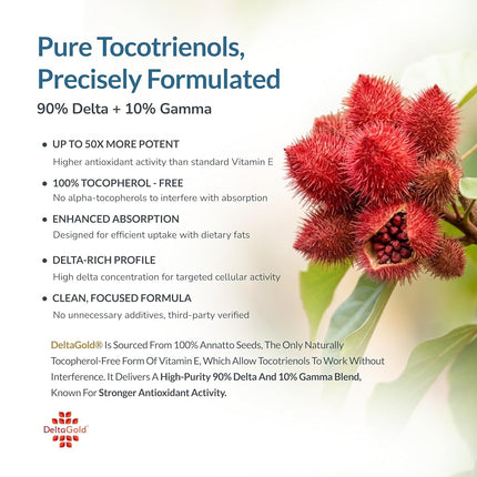 Tocotrienols Vitamin E Supplement Annatto Derived – DeltaGold, Tocopherol Free, Supports Cholesterol, Inflammation, Brain & Skin Health (300 mg, 60 Softgels)