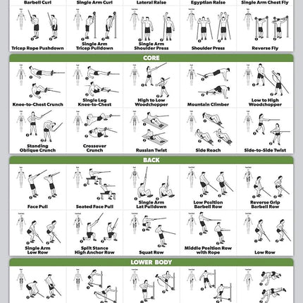 QUICKFIT (46 cm x 70 cm), Póster laminado de ejercicios para máquina de cable – Tabla de ejercicios para máquina de cable laminada de 18 x 27 pulgadas