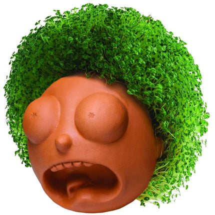 Chia Pet Rick & Morty - Morty with Seed Pack, Decorative Pottery Planter, Easy to Do and Fun to Grow, Novelty Gift, Perfect for Any Occasion