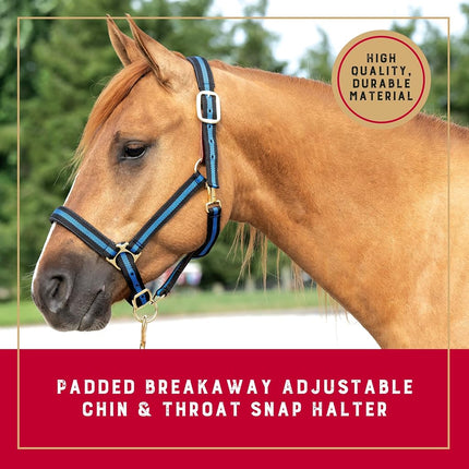 Weaver Leather 35-6065-BL Padded Breakaway Adjustable Chin & Throat Snap Halter, 1" Average Horse or Yearling Draft, Blue Striped