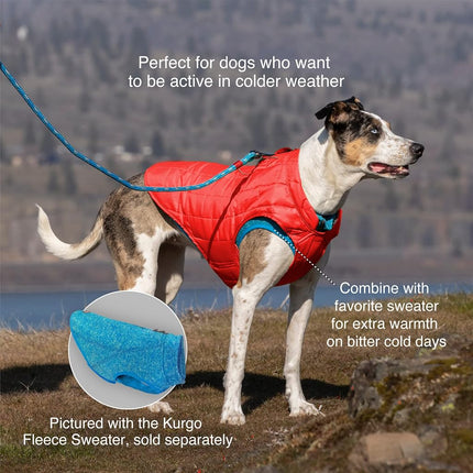 Kurgo Loft Dog Jacket, Reversible Dog Coat, Wear with Harness or Sweater, Water Resistant, Reflective, Winter Coat for Small Dogs (River Run, S)
