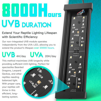 ECKPO Dimmable LED Reptile UVB Lamp, 8000 Hours UVB Duration for Much Longer Lifespan, Adjustable 4/8/12-Hour Cycles, Suitable for Tortoise and Gecko, 4W, S Size