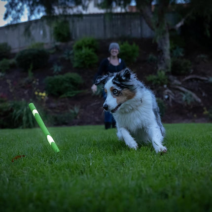 Chuckit! Juguete para perro Max Glow Ultra Fetch Stick para exteriores, 30 cm, para todas las razas