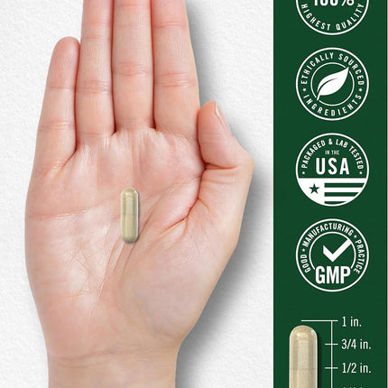 Gymnema Sylvestre Leaf Extract 600 mg | 200 Capsules | Non-GMO and Gluten Free | by Carlyle