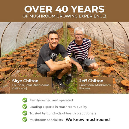 Real Mushrooms Cordyceps Capsules - Performance Supplement with Cordyceps Mushroom Extract for Energy & Immune Support Vegan Supplement, Non-GMO, 120 Caps