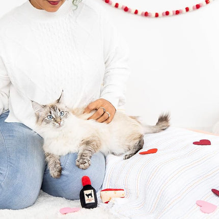 Set de 2 juguetes de queso y vino para gatos Pearhead – Juguetes de peluche con hierba gatera, arrugas y cascabel, juguetes interactivos para gatos de interior para el Día de San Valentín