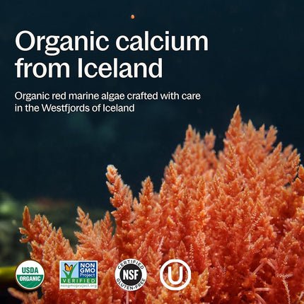 New Chapter Calcium Supplement – Bone Strength Organic Plant Calcium with Vitamin K2 + D3 + Magnesium, Vegetarian, Gluten Free - 120 Count (40 Day Supply)