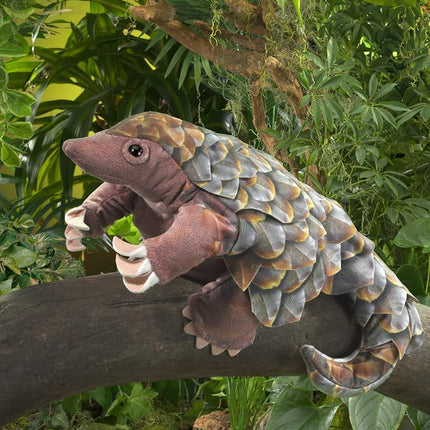 Pinecone Animal/Pangolin
