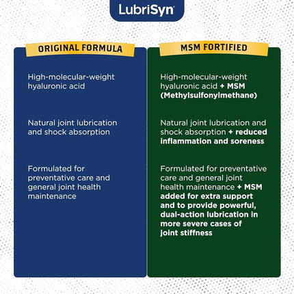 LubriSynHA Joint Supplement, Grape Flavor, 11.5oz – All-Natural, High-Molecular Weight Hyaluronic Acid - Joint Support for Women & Men – Promotes Healthy Joint Function, Made in USA, 100% Vegan