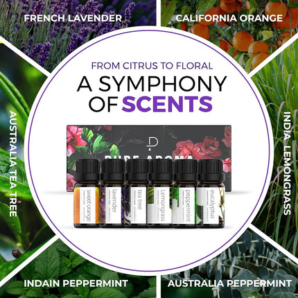 PURE AROMA Essential Oils by 100% Pure Therapeutic Grade Oils kit- Top 6 Aromatherapy Oils Gift Set-6 Pack, 10ML(Eucalyptus, Lavender, Lemon Grass, Orange, Peppermint, Tea Tree)