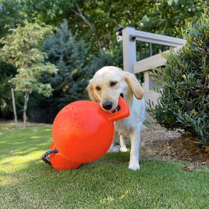 Jolly Pets Tug-n-Toss Dog Toy, 25 cm, Orange