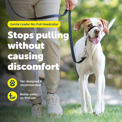 PetSafe Gentle Leader No-Pull Dog Headcollar - The Ultimate Solution to Pulling - Redirects Your Dog's Pulling For Easier Walks - Helps You Regain Control - Medium, Silver