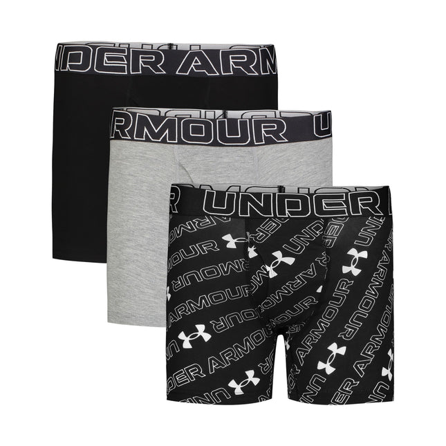Under Armour Boys' Big Performance Boxer Briefs, L