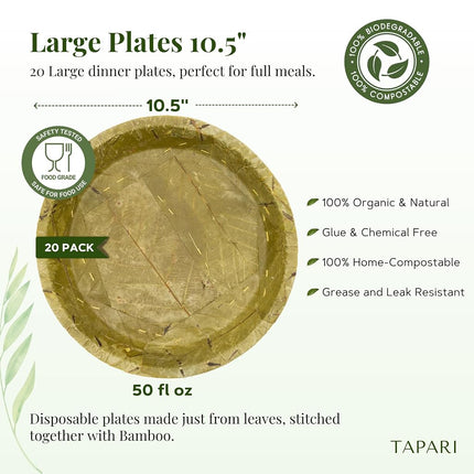 TAPARI Jumbo Disposable Plates - 20 Pack Jumbo Leaf Plates - 10.5 Inch Diameter - Strong & Eco-Friendly - 100% Compostable & Biodegradable Heavy Duty Disposable Plates - Bulk Party Plates - Sal Leaf