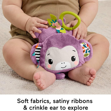Fisher-Price Sing & Go Purple Monkey, Baby Stroller Toy
