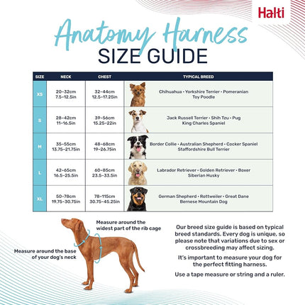 Halti Anatomy Dog Harness with Handle | Size S, Magenta