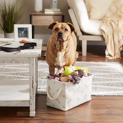Bone Dry Pet Storage Collection Paw and Bone Print, Small Rectangle, Mint