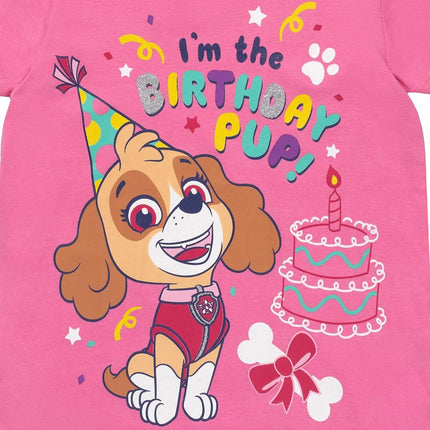 Paw Patrol Skye Toddler Girls Graphic T-Shirt Pink 2T