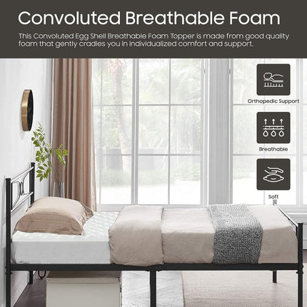 Treaton 1-inch Soft Foam Toppers with Convoluted Egg Shell Design | Extends Mattress Topper Life, Provides Proper Back Support and Relieves Pain, Improves Better Posture, Queen, White