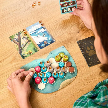 Asmodee | Harmonies – The Breathtakingly Beautiful Nature Strategy Game Hit Great for Games Nights & Solo Play | Simple to Play, Endless Replayability | 1-4 Players, Ages 10+, 30 Mins