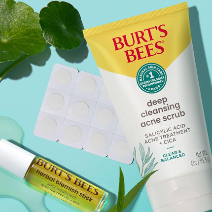 Burt's Bees 24 x Blemish Herbal Plasters with Fermented Willow Bark and Aloe Vera - Soothing Treatment for Grains - 100% Natural