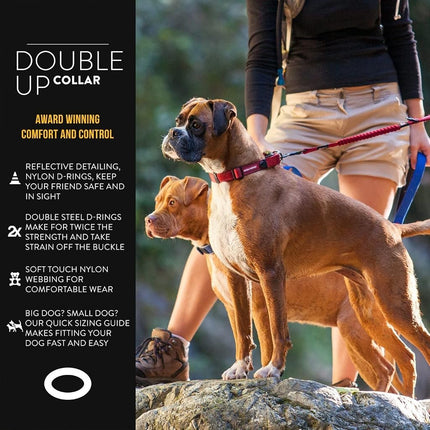 EzyDog Double Up Dog Collar - Premium Nylon Webbing Collars for Dogs - Reflective, Comfortable - Attach Leash to Both Stainless Steel D Rings for Extra Strength & Security (L, Pink)