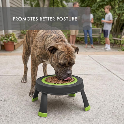 Dexas Popware for Pets Single Elevated Pet Feeder, Large, Gray/Green