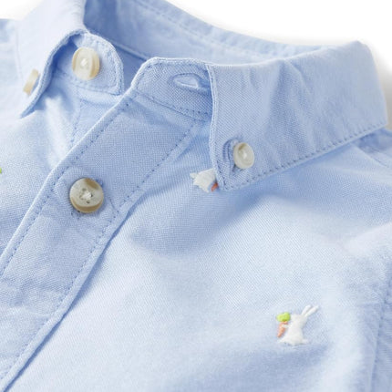 Chemises à manches longues boutonnées Gymboree pour garçons et tout-petits, bleu printemps, 4T