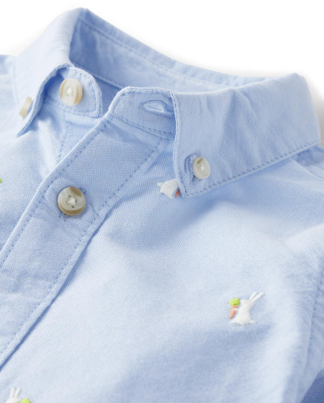 Gymboree Boys' and Toddler Long Sleeve Button Up Shirts, Spring Blue, 6