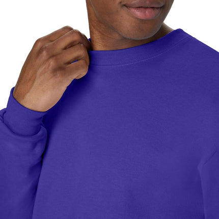 Hanes Men's EcoSmart Sweatshirt, Purple, S