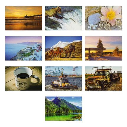 Best Paper Greetings 40 Pack Bulk Animal and Travel Postcards From Around the World for Mailing, Assorted Nature Thank You Notes (4 x 6 In)