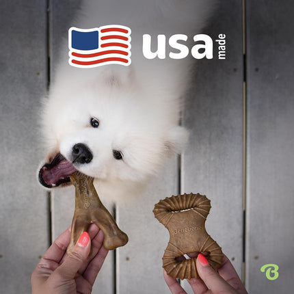 Benebone 2-Pack Wishbone/Dental Durable Dog Chew Toys, Real Bacon, Medium