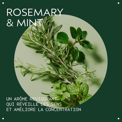 AVEDA Rosemary Mint Conditioner 1000ml